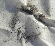 Coolant Filter (Sand) - 94000 Miles.jpg
