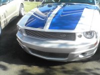 Stallion1.jpg