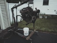 New Straight-6.jpg