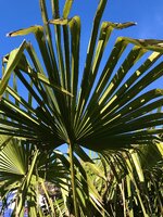IMG_0639.jpeg