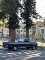 IMG_3389.jpeg