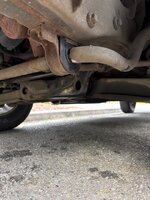 IMG_3458.jpeg