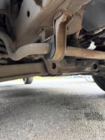 IMG_3459.jpeg