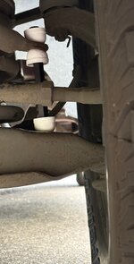 IMG_3461.jpeg