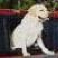 truckdog62563
