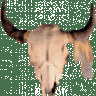 mjdtexan