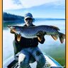 Fish-N-Fool