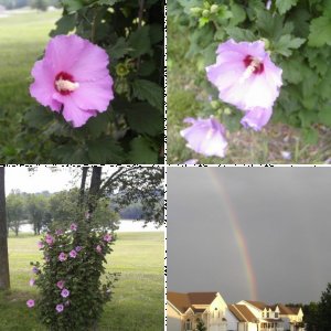 Novice Photography