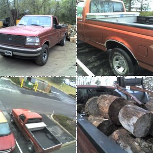 1995 F150