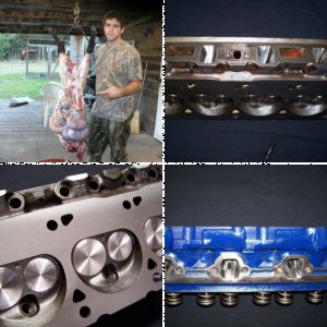 countryboy116