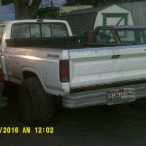 Junk Yard Dog