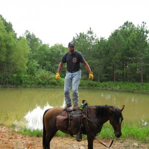 saddle surfing