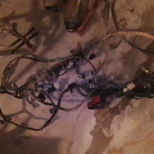 The entire wiring harness on a 2002 5.4l