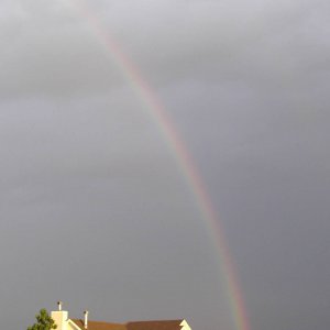 Rainbow 1