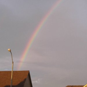 Rainbow 4