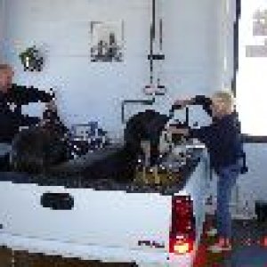 dogwash