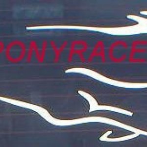 ponyracer_logo