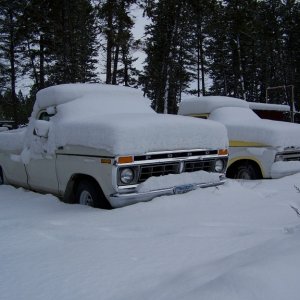 77_F150