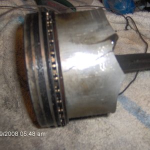Pistons # 3 and 7 out of the 428 I had in The Mule