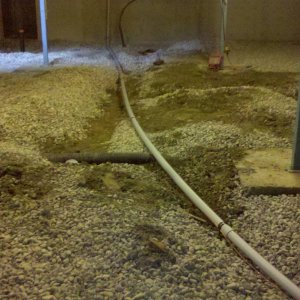 2012-02-29_11-10-59_548