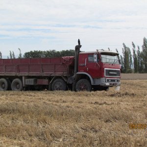 T Liner