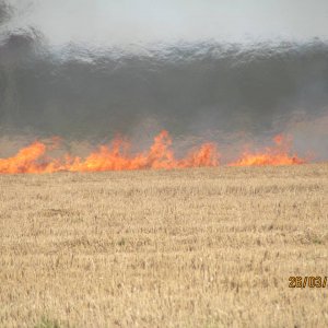 Burnoff