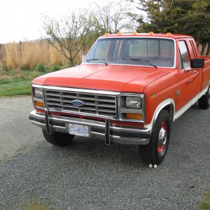 Old Orange 250