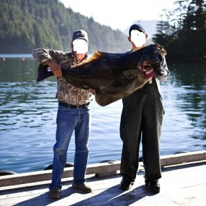 fish4a