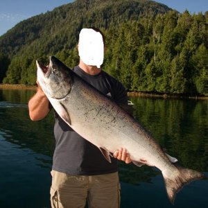 fish8
