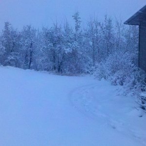 2012-04-12_20-03-16_680