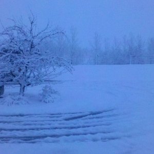 2012-04-12_20-03-26_40