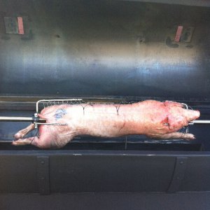 bbq12