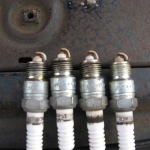 plugs
