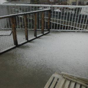 Snow_0031