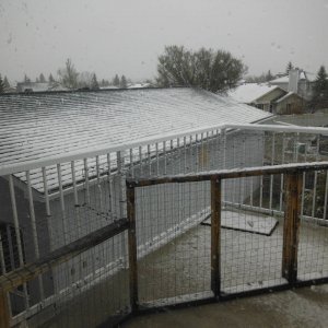 Snow_004