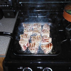 Lamb_001