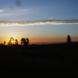 DSCF0241