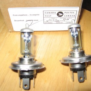 Sliverstar bulbs