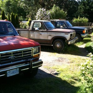 Ford Country