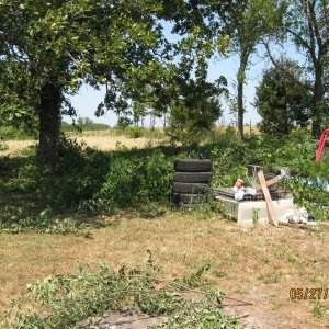 back_yard_001