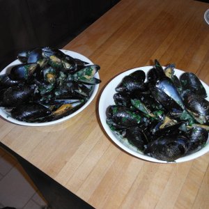 lobsterfest_009