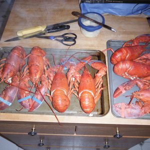 lobsterfest_015