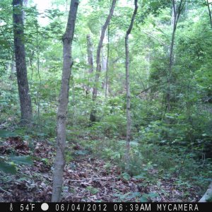 creek_060612_017