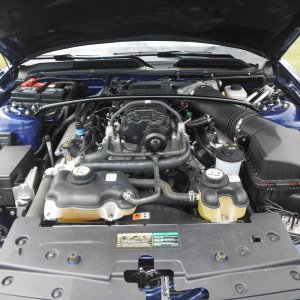 Car_Show_0101
