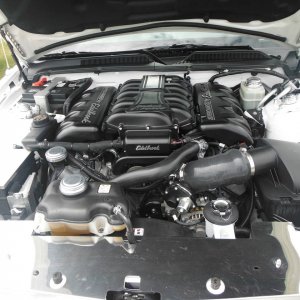 Car_Show_0111