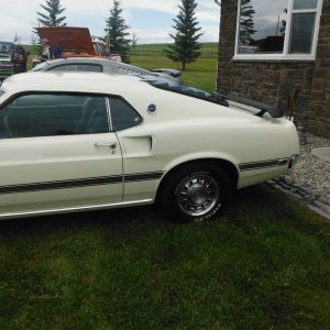 Car_Show_035