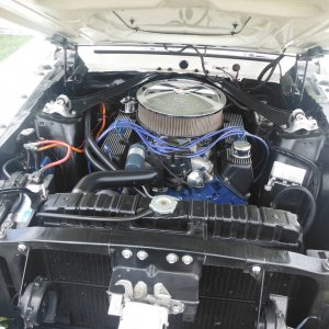 Car_Show_036