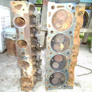 460 heads