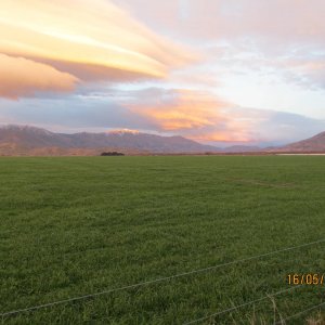 IMG_0605