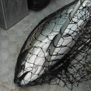 Fishing_trip_086